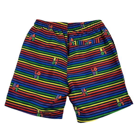 2(X)ist Mens Catalina 16" Pride Love Striped Rainbow Swim Trunks Multicolor L - Picture 3 of 4
